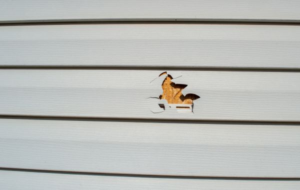 Cost of Siding Hole Patching in Middletown