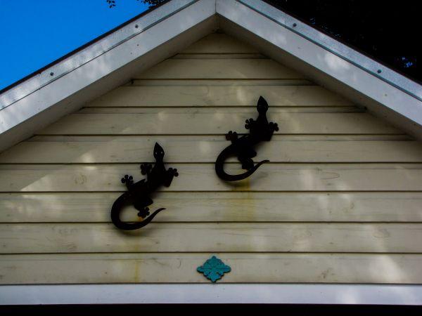 Cost of Shiplap Siding Installation in Middletown